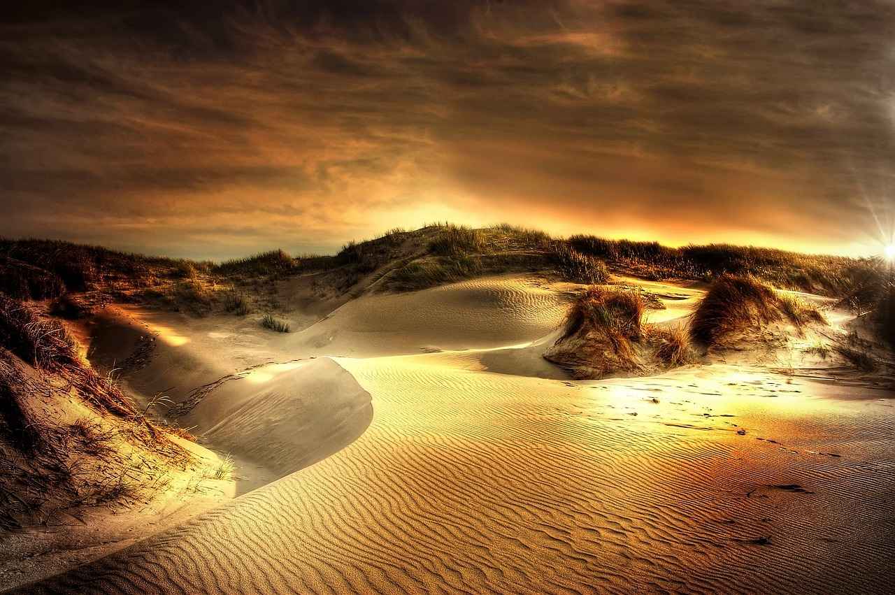 What Are the Best Travel Options from Reno to Vegas?