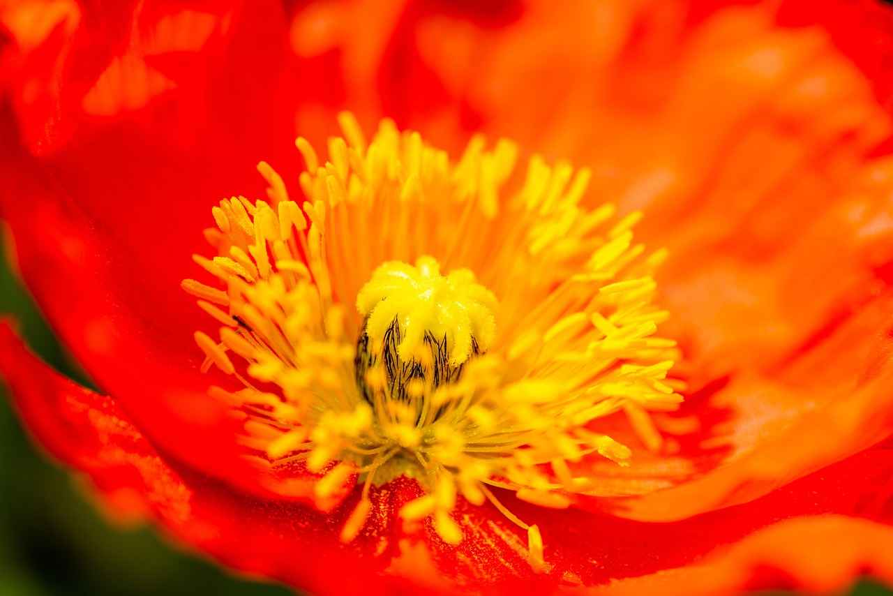 How Long Does It Take for a Toenail to Grow? Factors to Consider How Long Does It Take for a Toenail to Grow? Factors to Consider