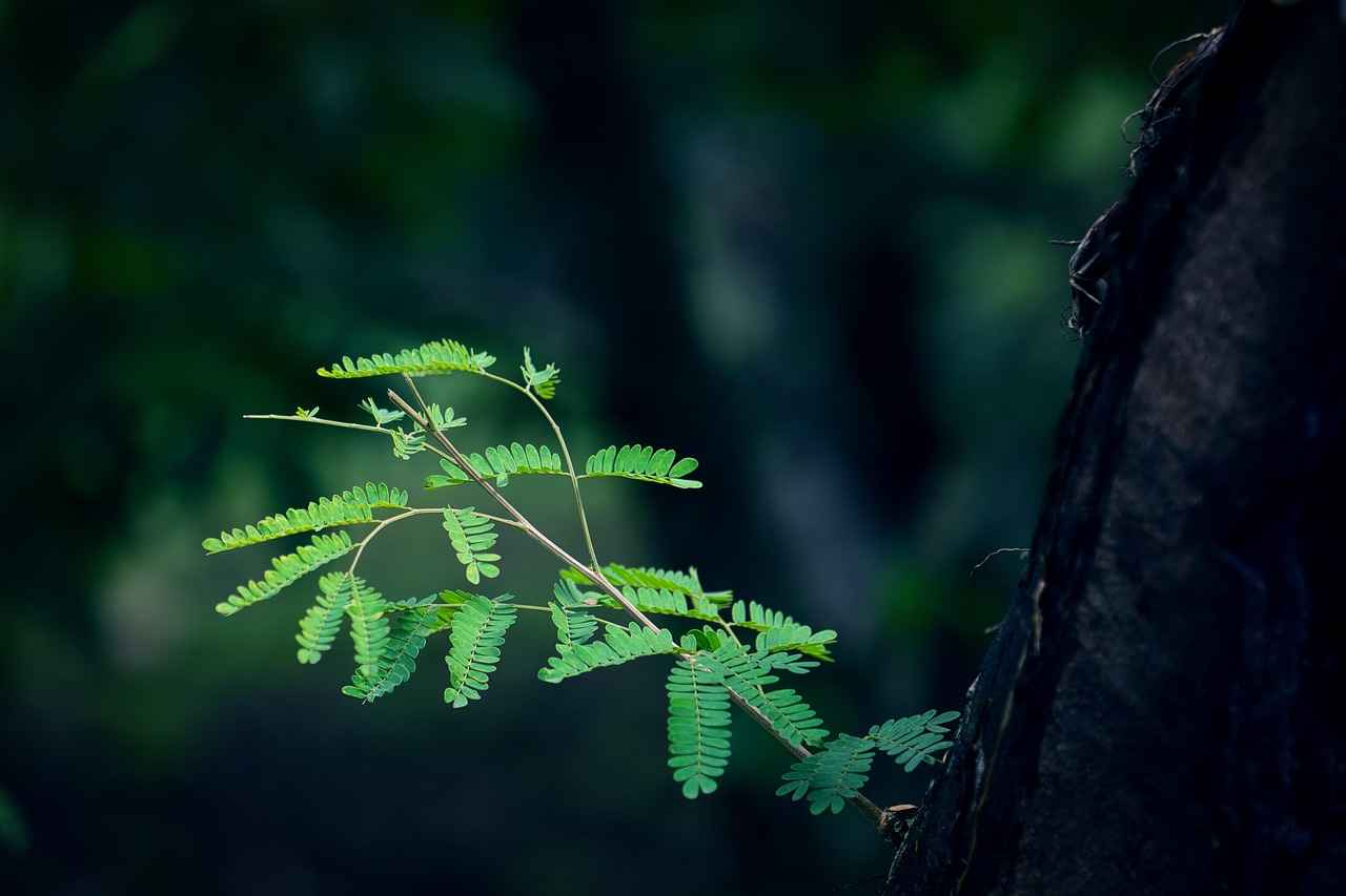 When Should You Consult a Doctor About Toenail Growth?