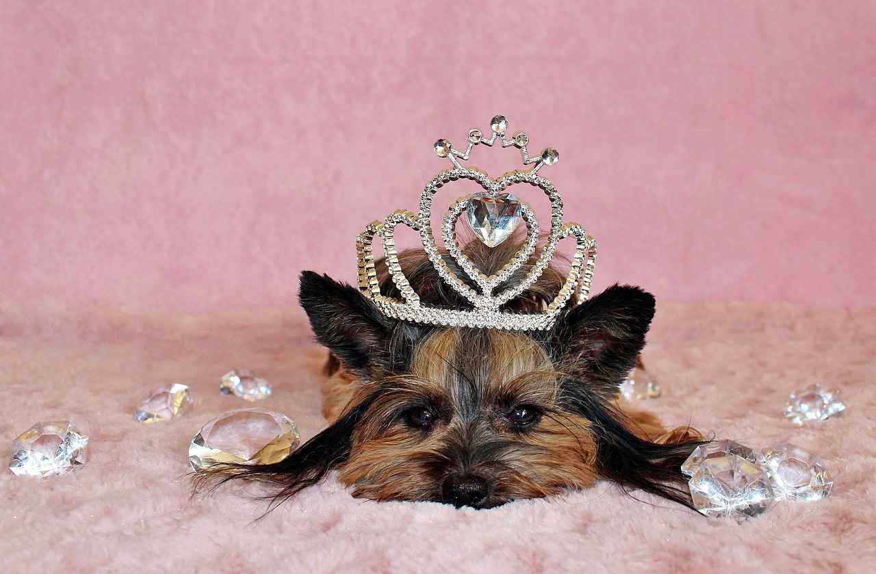 What Factors Influence the Time Required for a Crown?