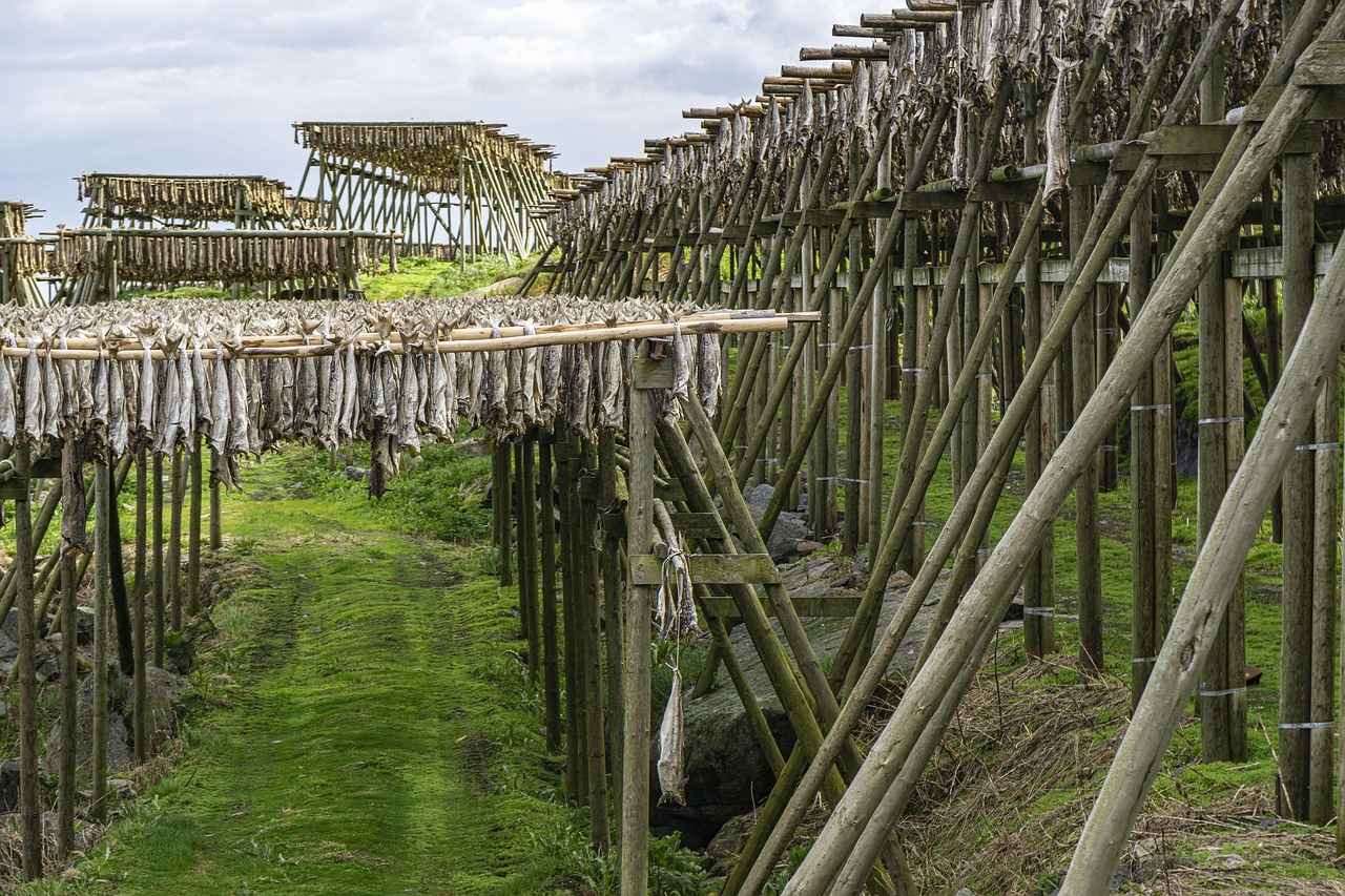 How Long Does Wood Take to Dry? Drying Time for Different Types 1 What Factors Affect Wood Drying Time?