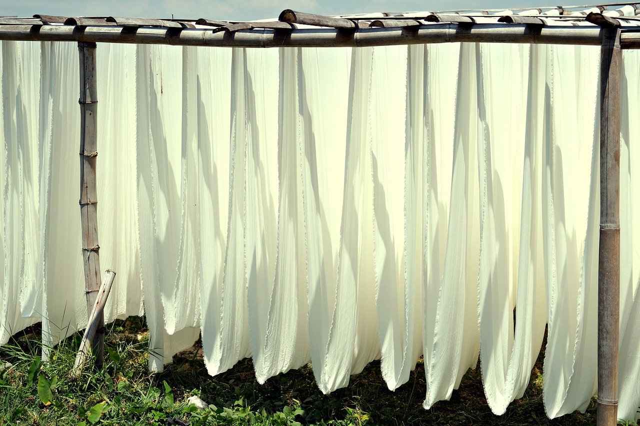 How Long Does Wood Take to Dry? Drying Time for Different Types 2 How Does Wood Species Influence Drying Time?