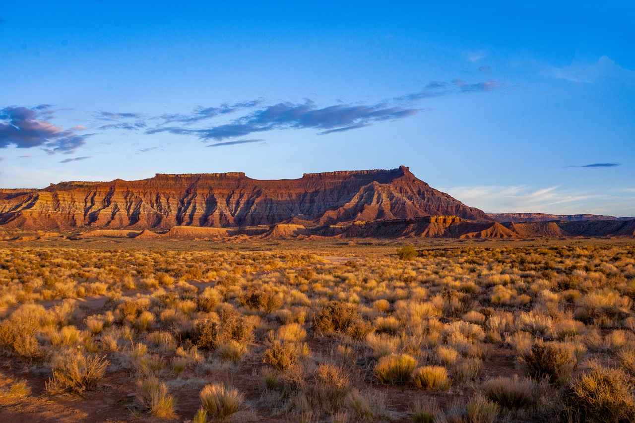 What Are the Best Tips for Planning Your National Park Visit?