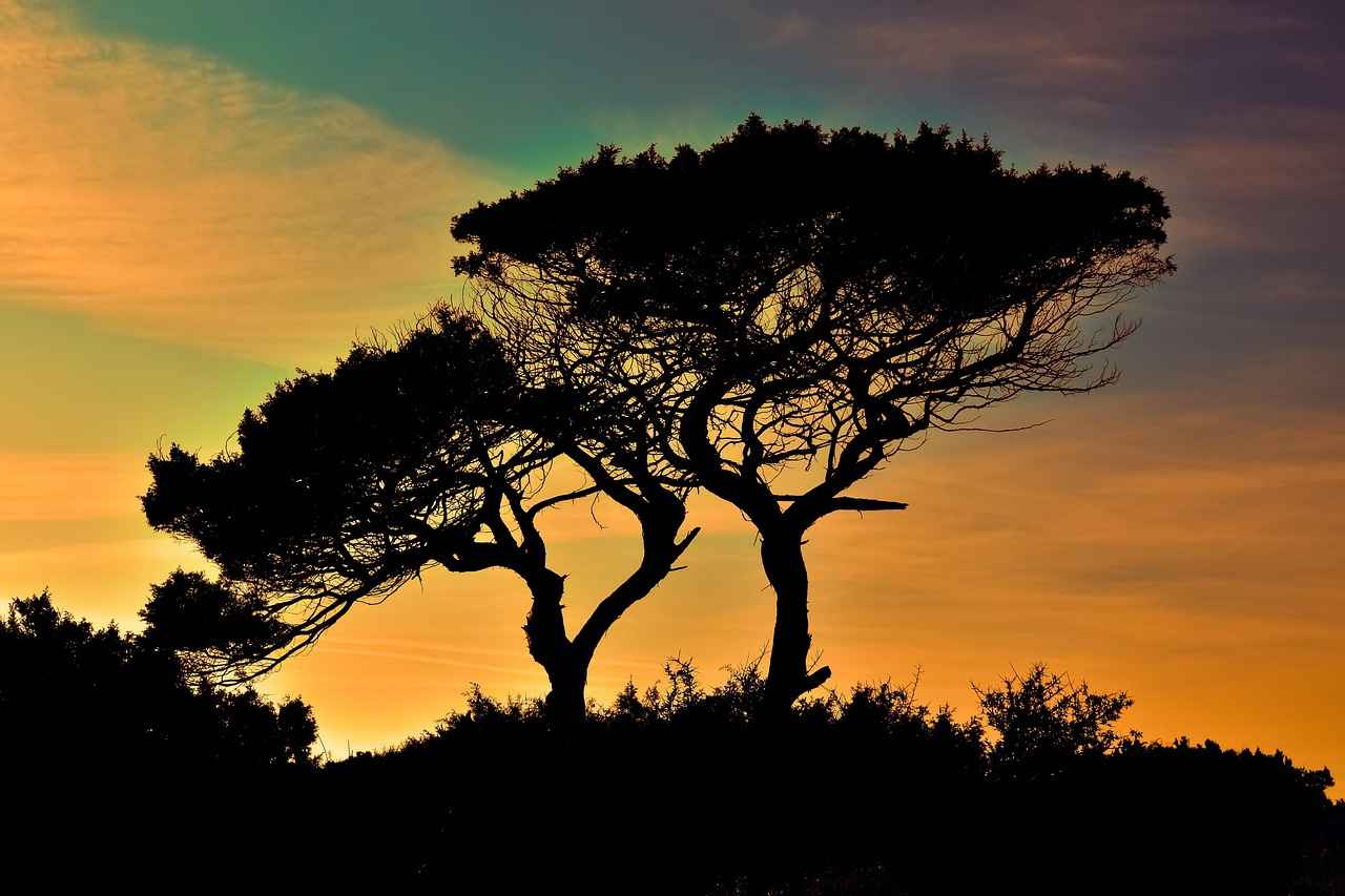 What Activities Influence Your Time in National Parks?