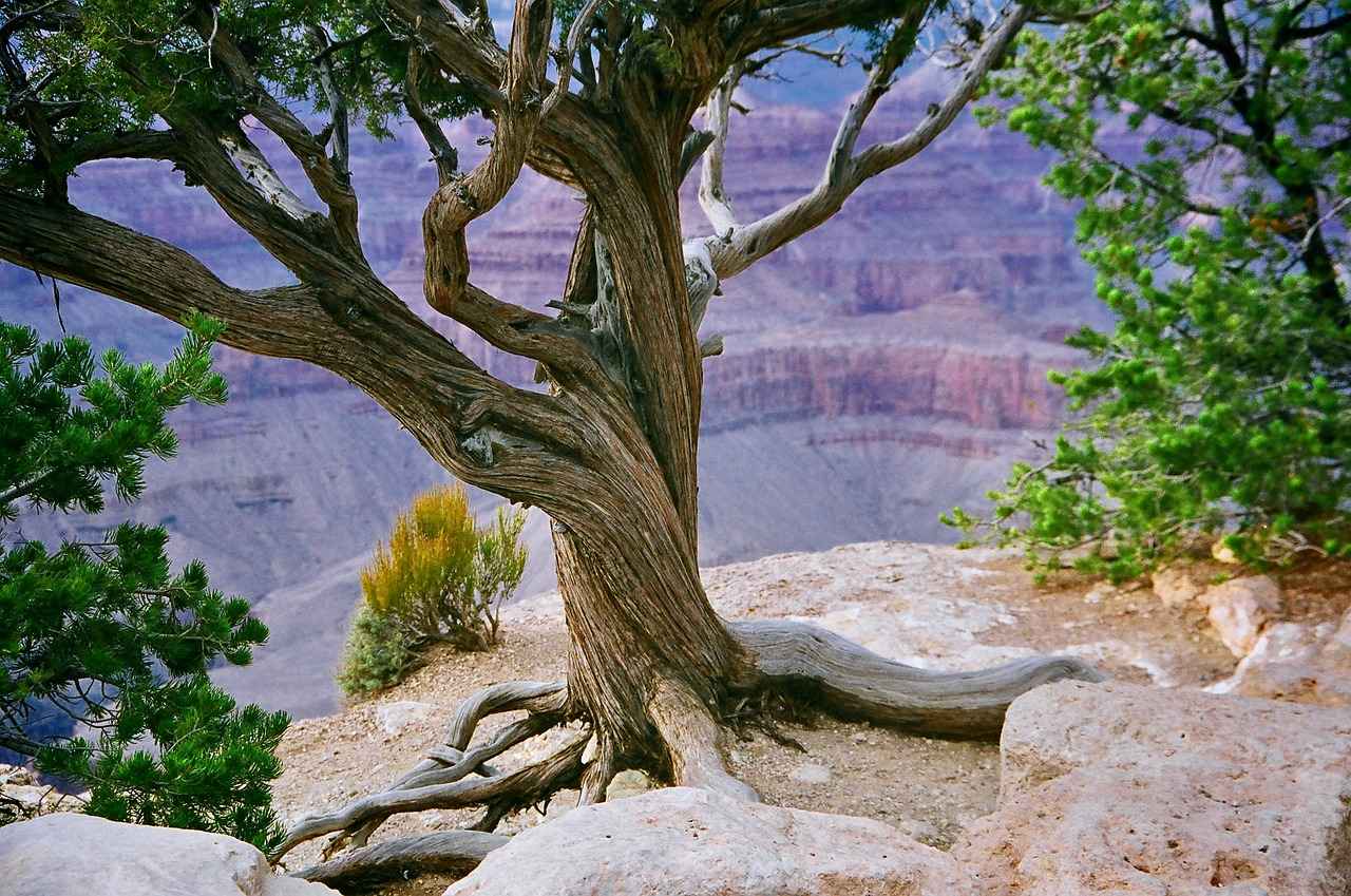 How Do Seasonal Changes Affect Your Visit Duration?
