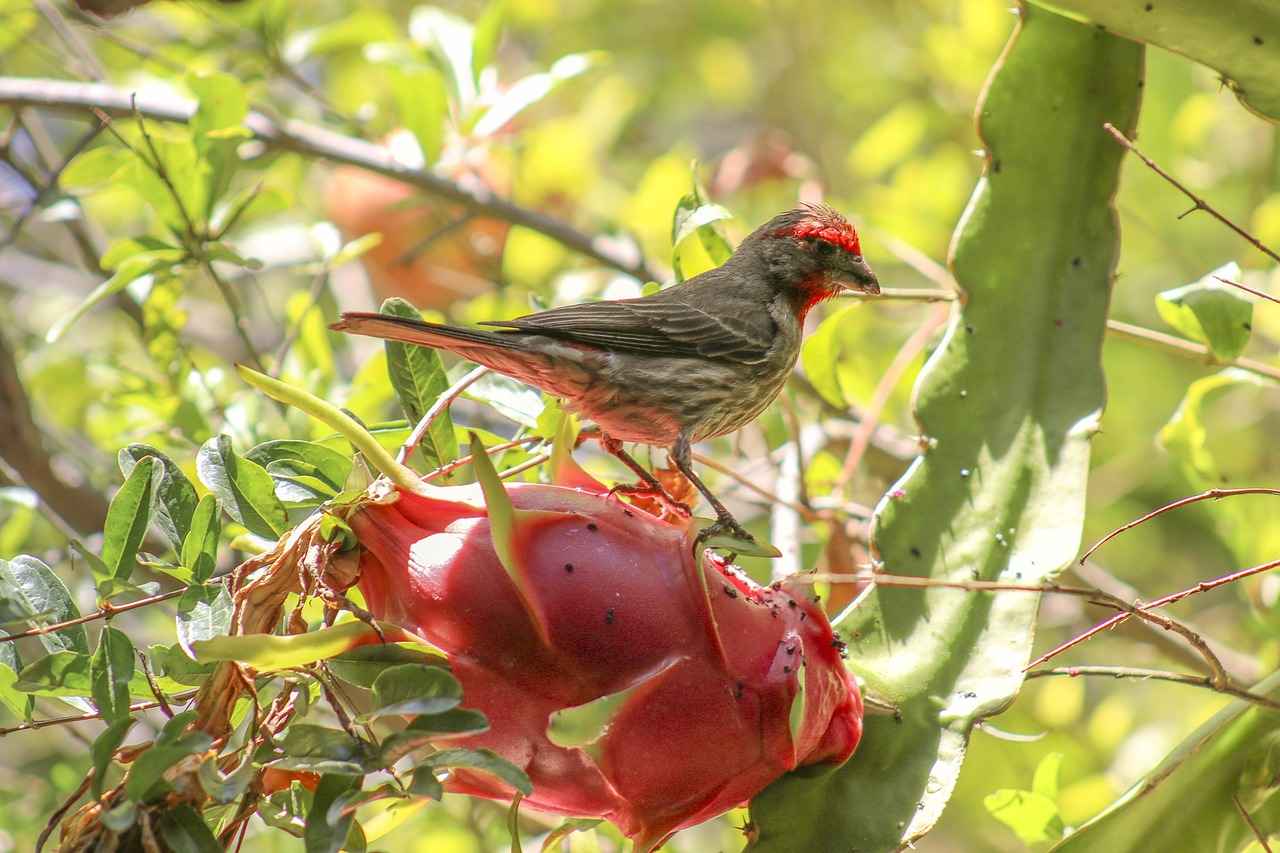 How Many Actions to Attack with a Weapon in D&D 2e? Combat Rules Breakdown How Many Actions to Attack with a Weapon in D&D 2e? Combat Rules Breakdown