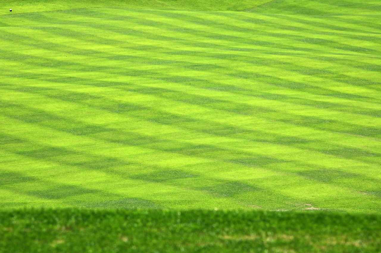 How Much Does It Cost to Build a Golf Course? Understanding the Expenses 5 How Can Financing Options Affect Golf Course Development Costs?