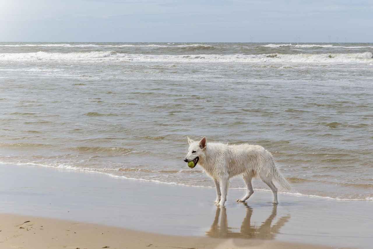 What Are the Additional Costs Associated with Circumcision?