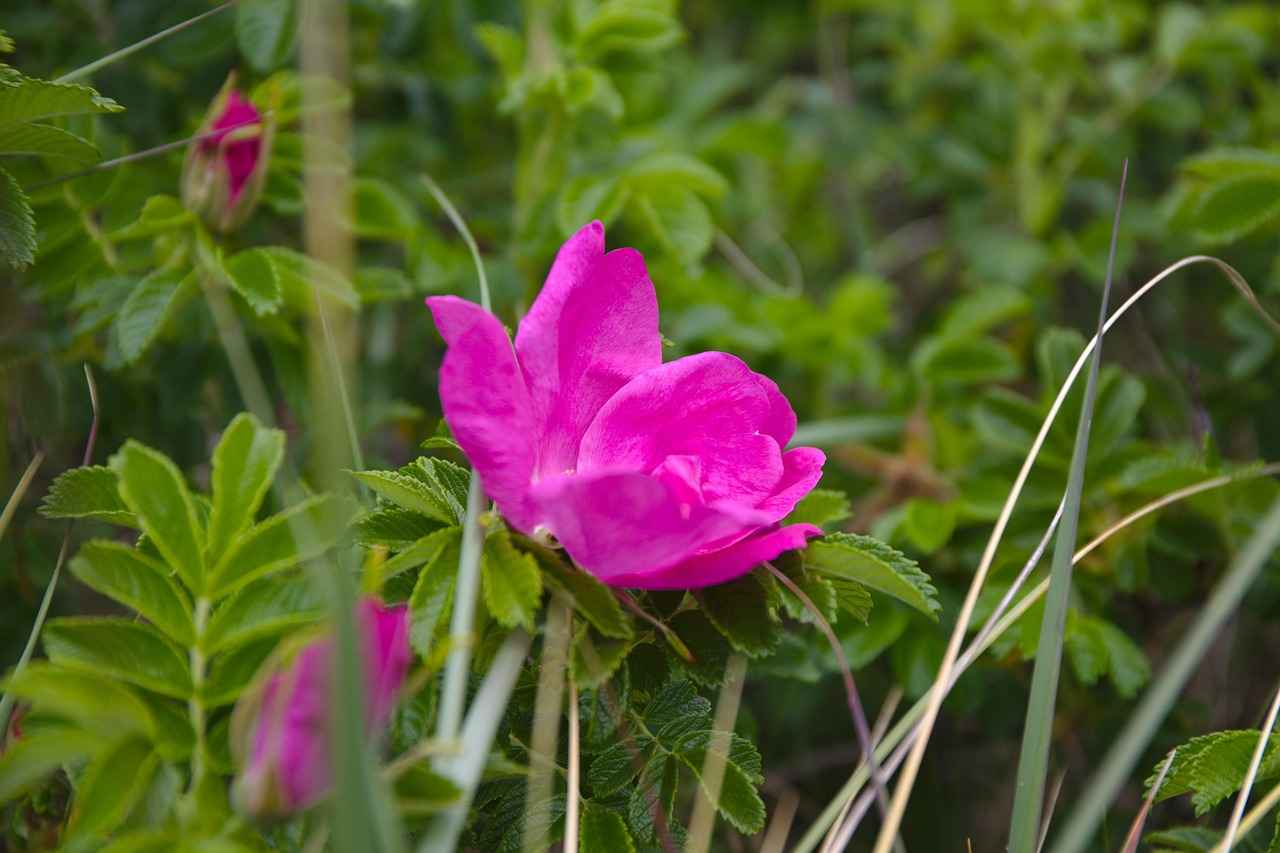 How Much Does It Cost to Get Stitches? Healthcare Costs for Minor Injuries 4 What Insurance Coverage is Available for Stitches?