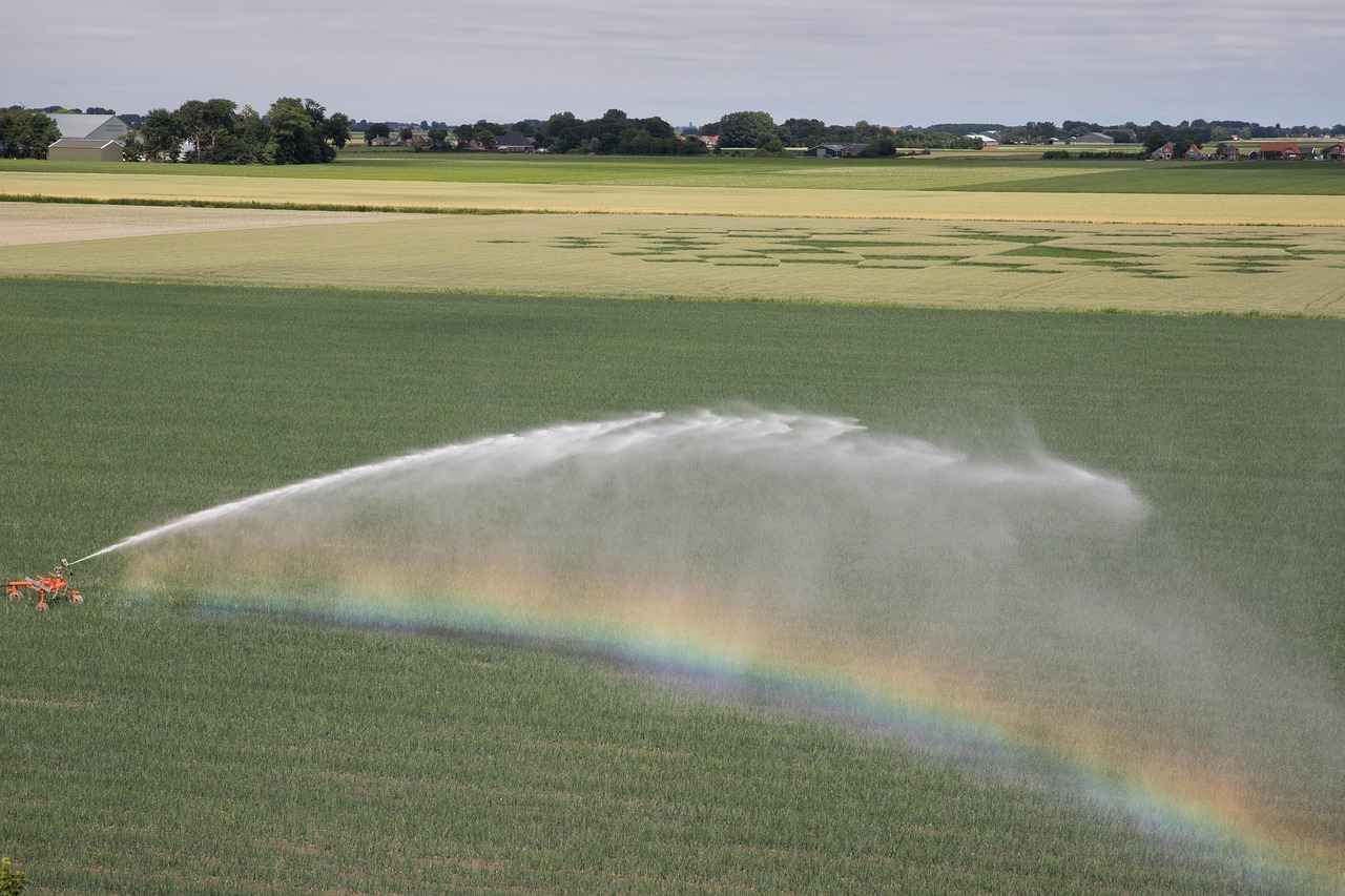 How Much Does It Cost to Install a Sump Pump? Cost Breakdown and Considerations 4 What Are the Long-Term Benefits of Installing a Sump Pump?