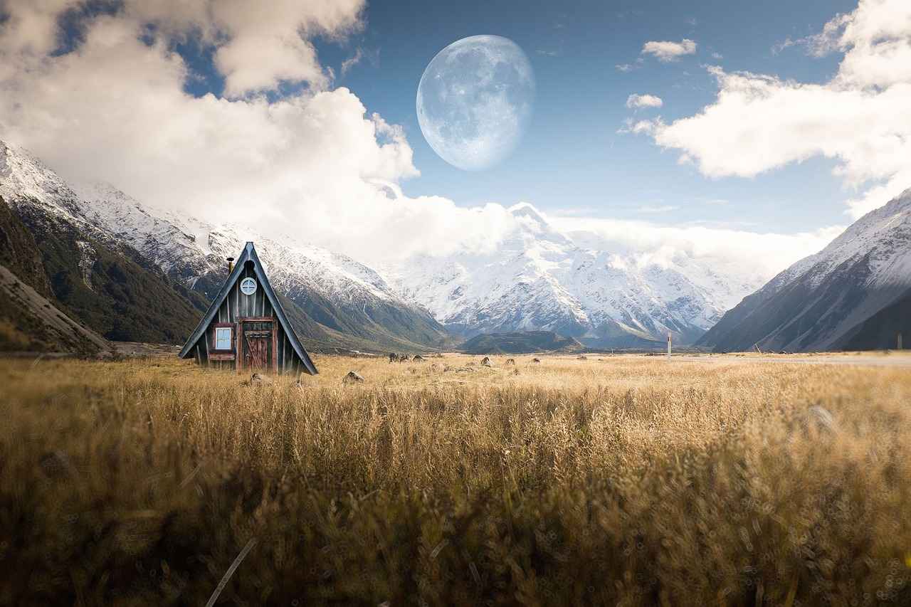 What Are the Average Bounce House Rental Prices?