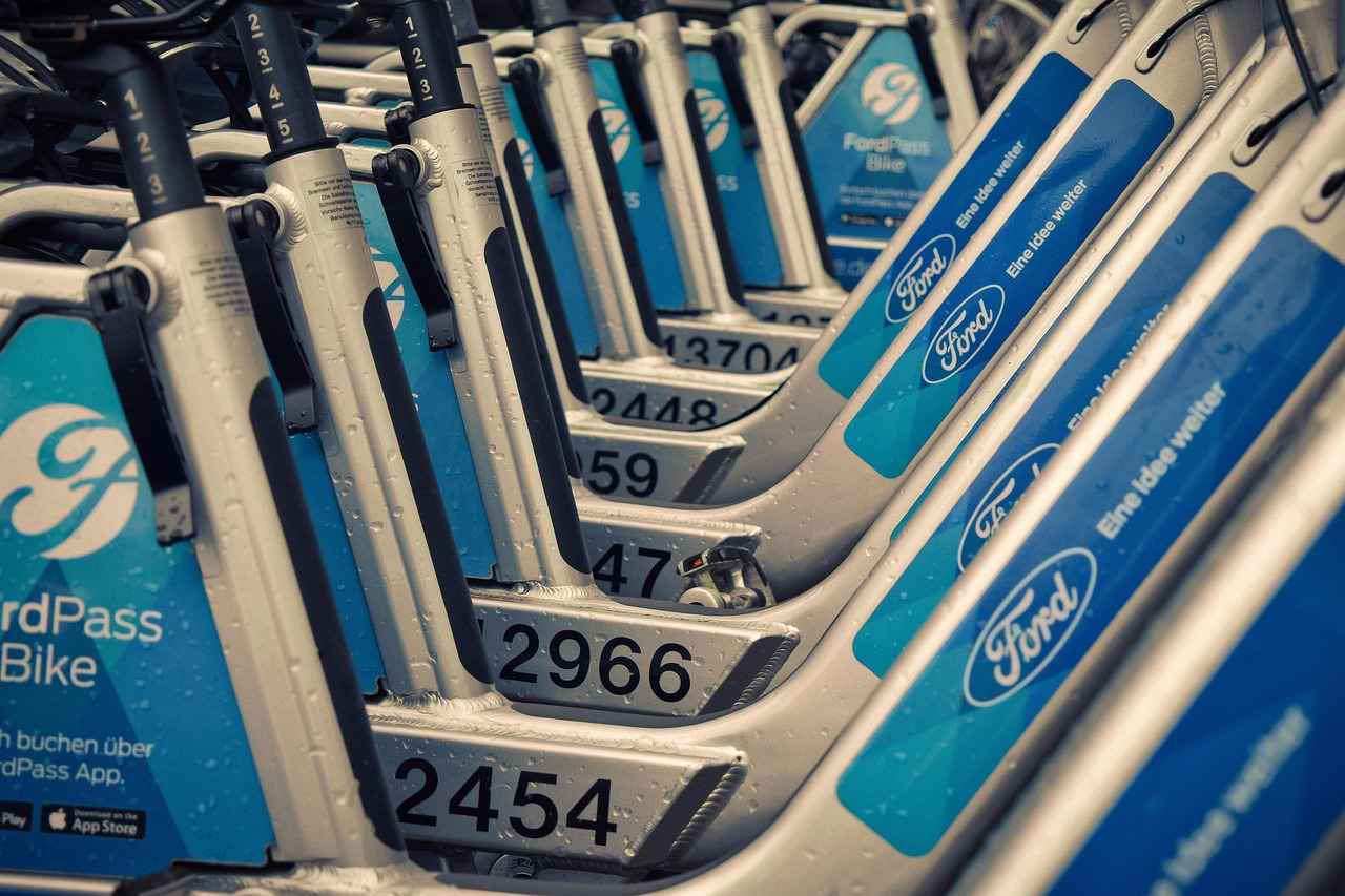 How Much Is It to Rent a Bobcat? Rental Fees and Tips How Much Is It to Rent a Bobcat? Rental Fees and Tips