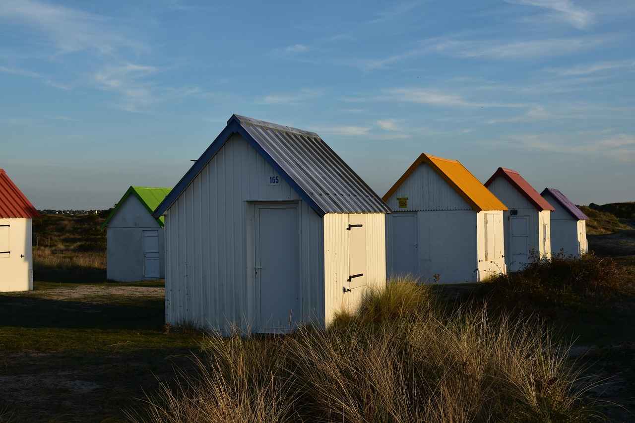 How to Choose the Right Bobcat Rental Company?