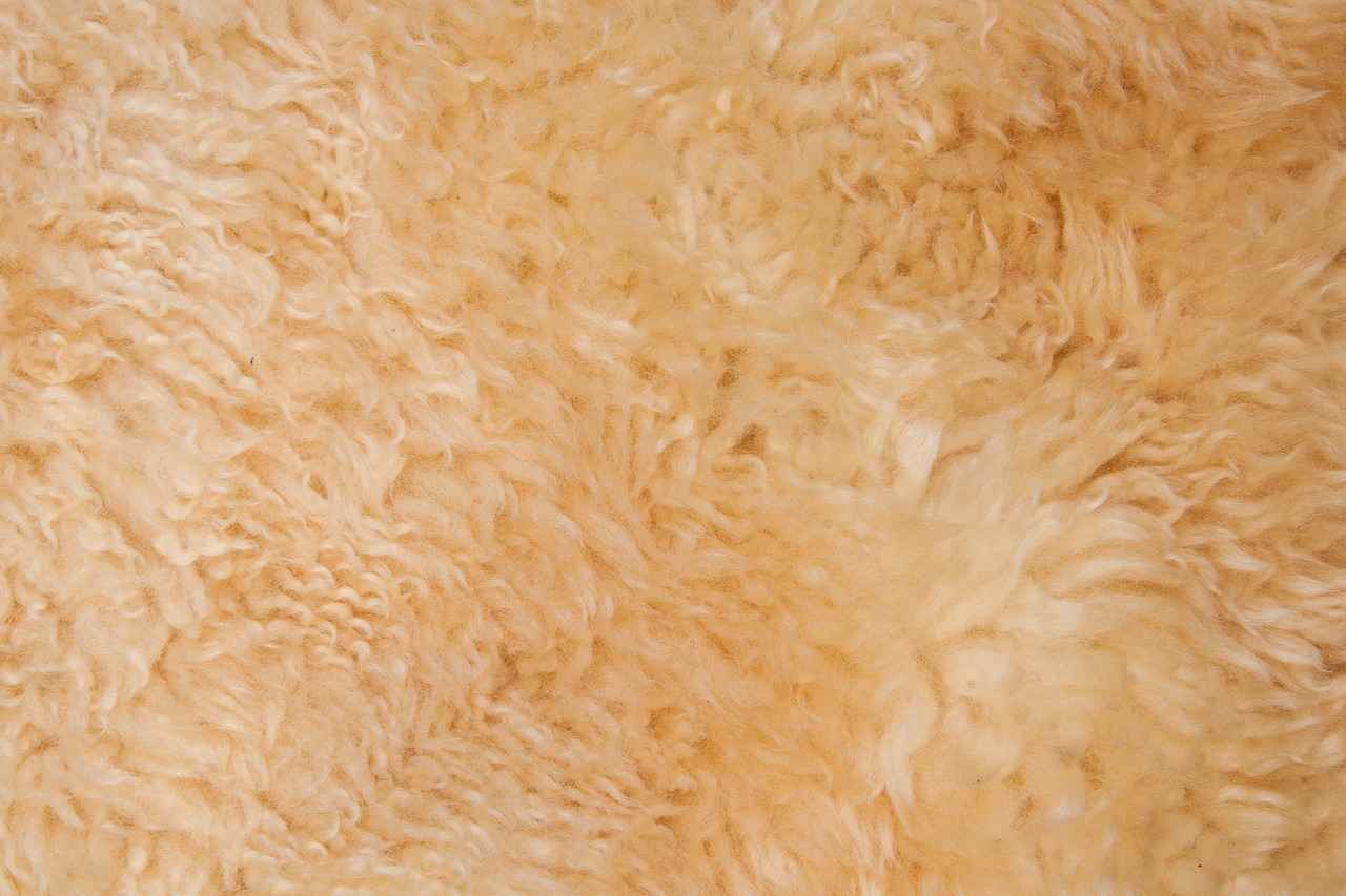 How to Store Your Sheepskin Rug When Not in Use?