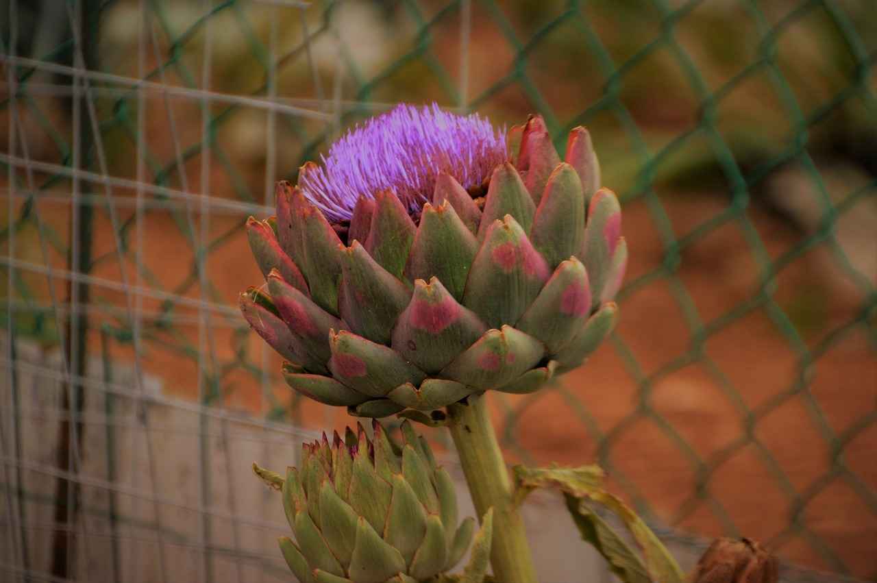 How to Analyze and Optimize Your Printing Costs?