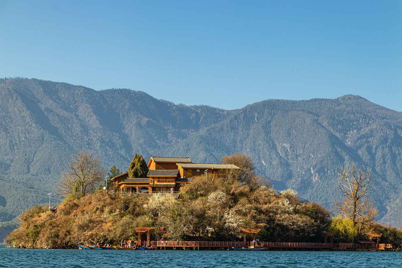 What to Do If You Find a Lien on a Property?