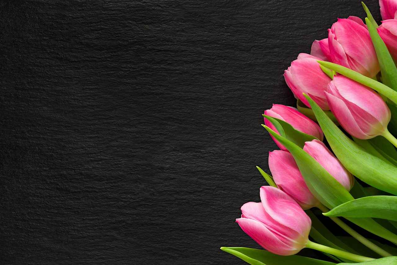 How to Identify Your Audience's Interests?