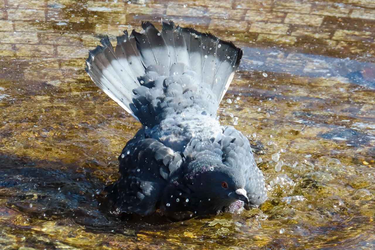 How to Clean Invisalign Retainer: Proper Care and Maintenance 2 What Are the Best Methods for Cleaning Invisalign Retainers?