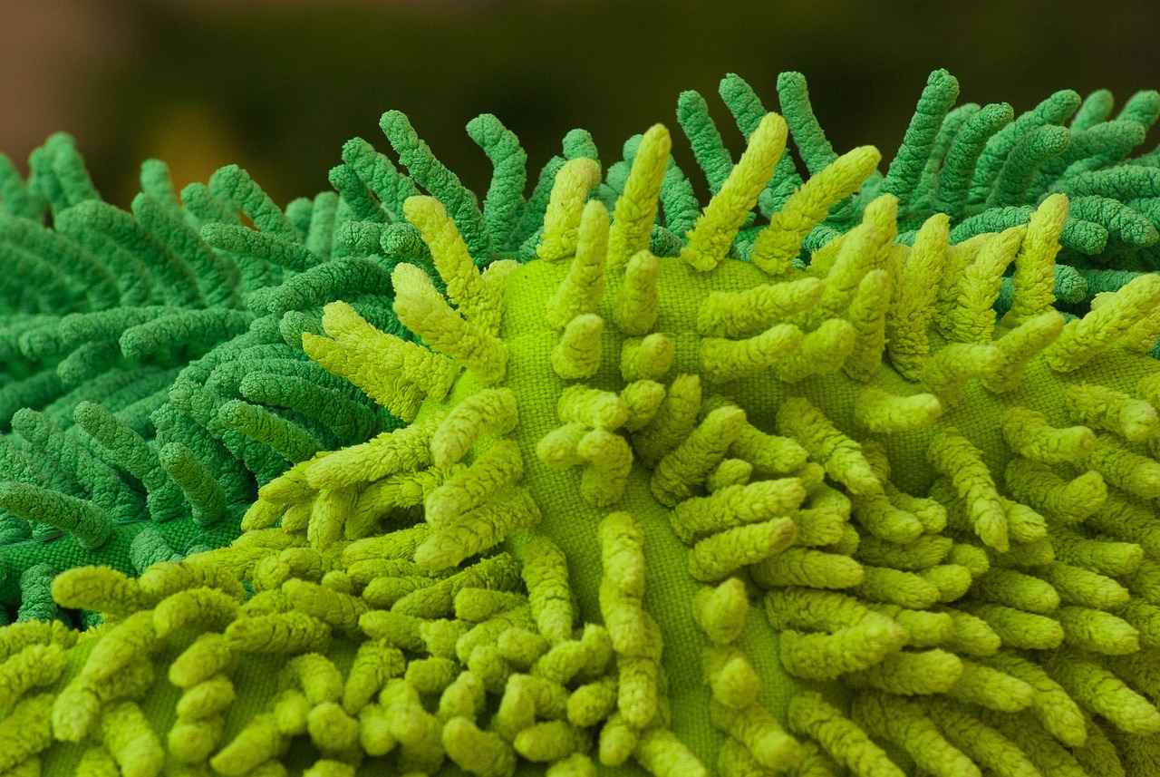 How to Clean Invisalign Retainer: Proper Care and Maintenance 3 How Often Should You Clean Your Invisalign Retainer?