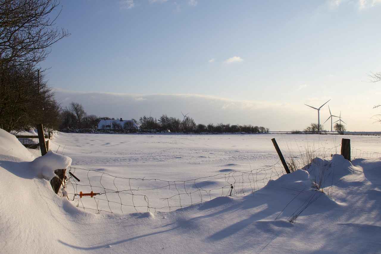 How to Clean Mold off Wood Furniture: DIY Tips and Solutions 5 How to Prevent Mold Growth on Wood Furniture?