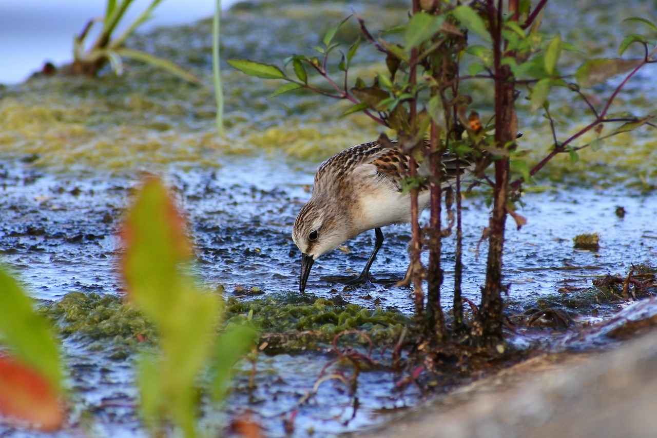 How to Delete Account on Mr Muffins Trains: A Quick Guide 3 Steps to Delete Your Mr Muffins Trains Account