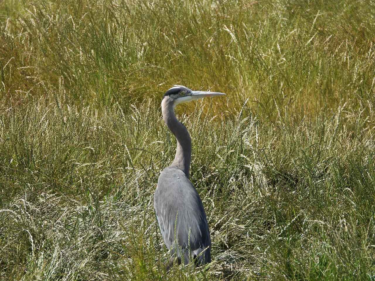 Legal Considerations When Filing a Lien