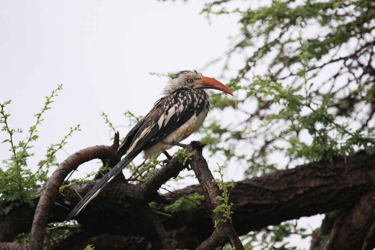 How to Fix CO 50 Denial: What You Need to Know 5 When to Seek Professional Help