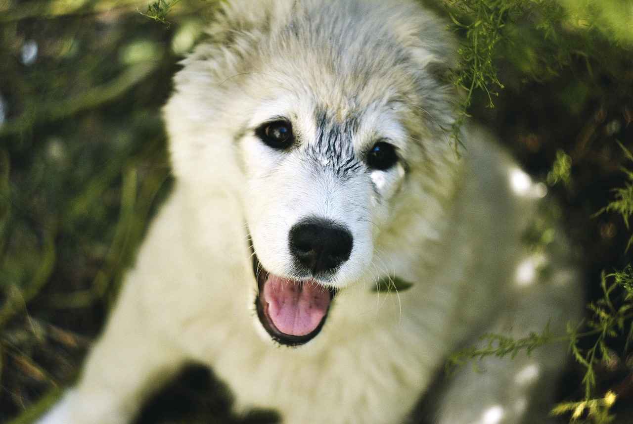 How to Prevent Gasoline Smell from Sticking to Your Hands?