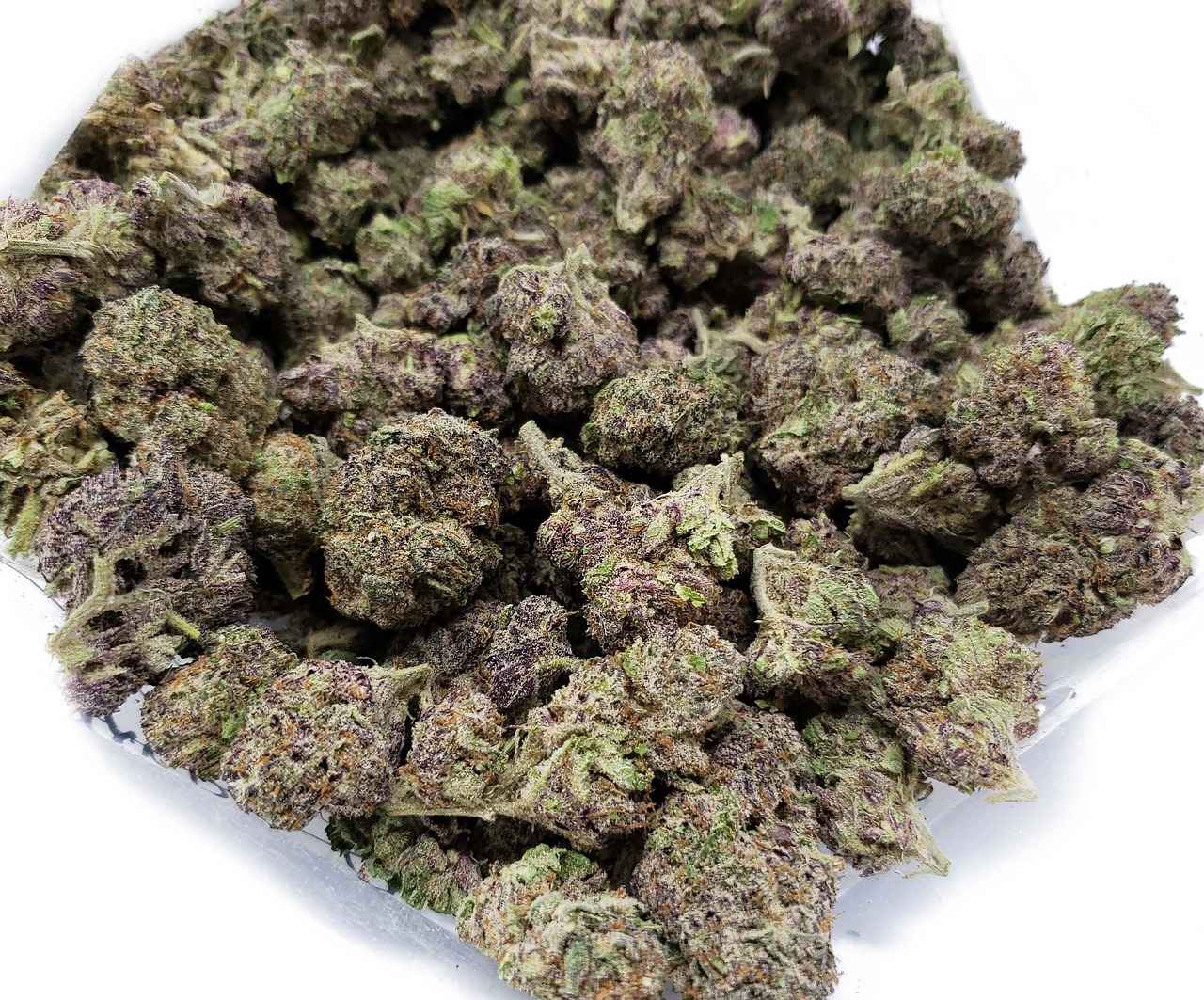 What Causes Weed Odor in Cars?