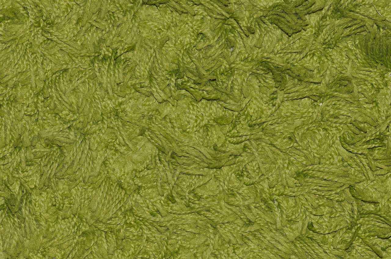 Rinsing and Drying the Area