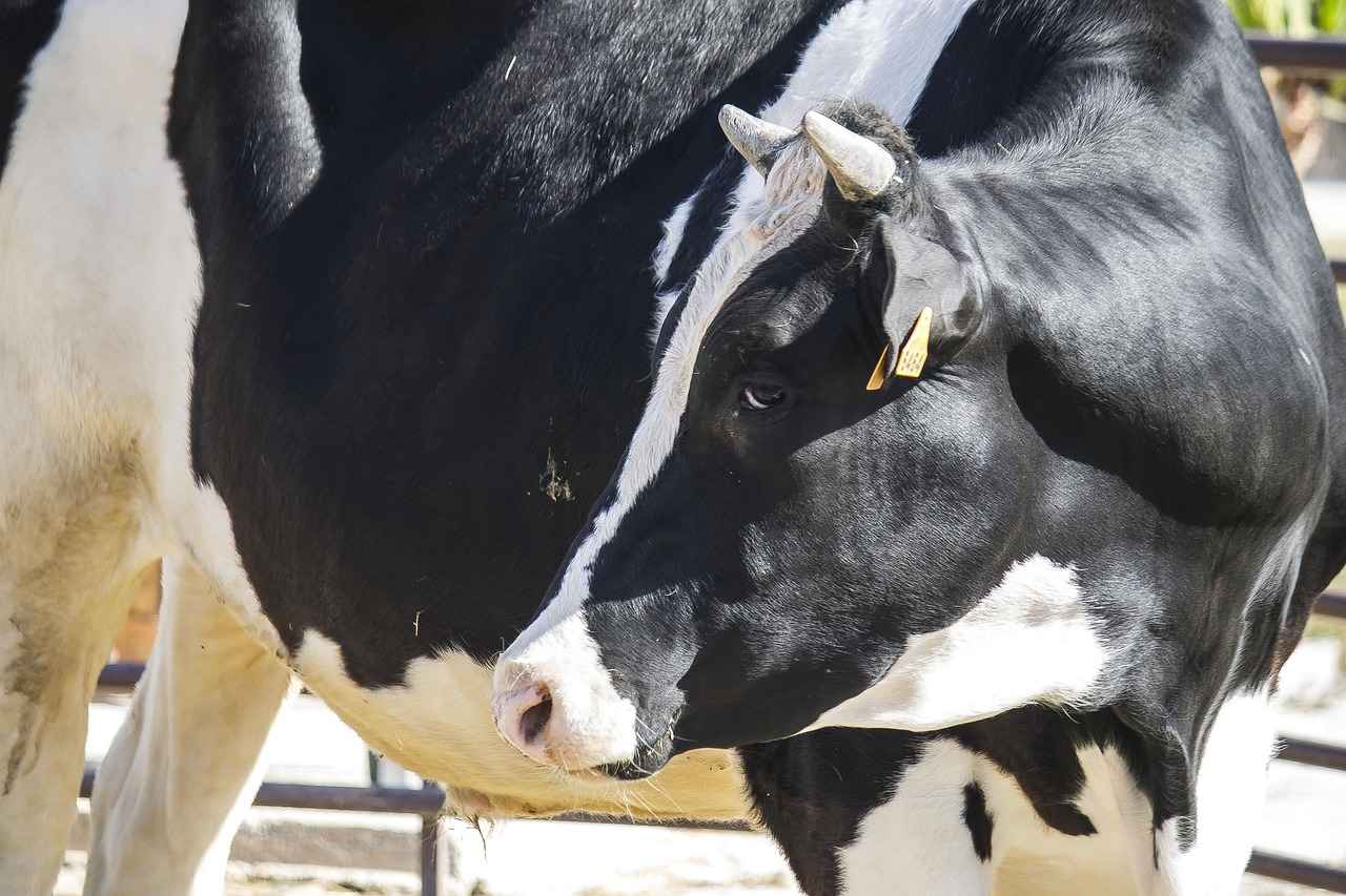 Exploring the Islands of Bocas del Toro