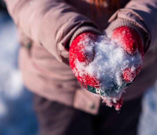 How to Give Missing Ad in Hindu Newspaper How to Give Missing Ad in Hindu Newspaper