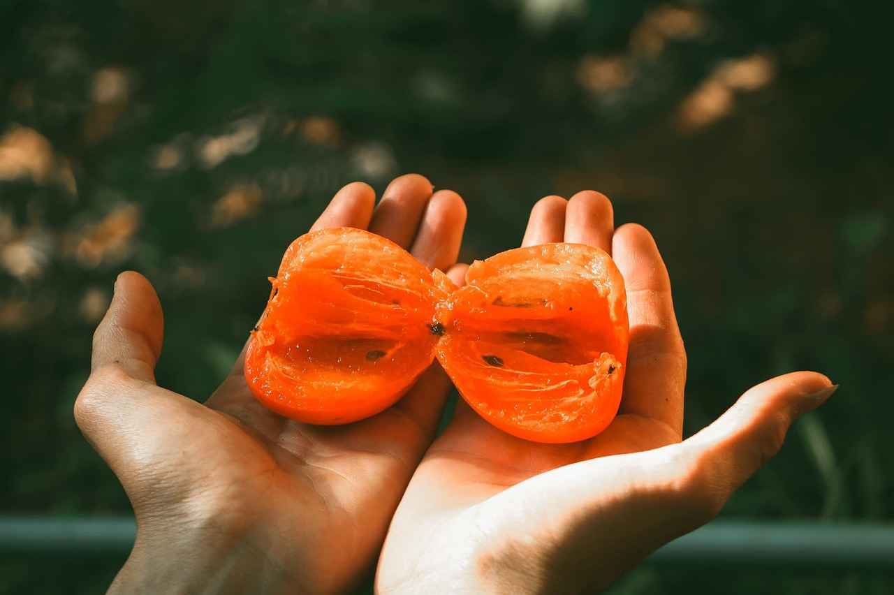 How to Care for Young Persimmon Plants?