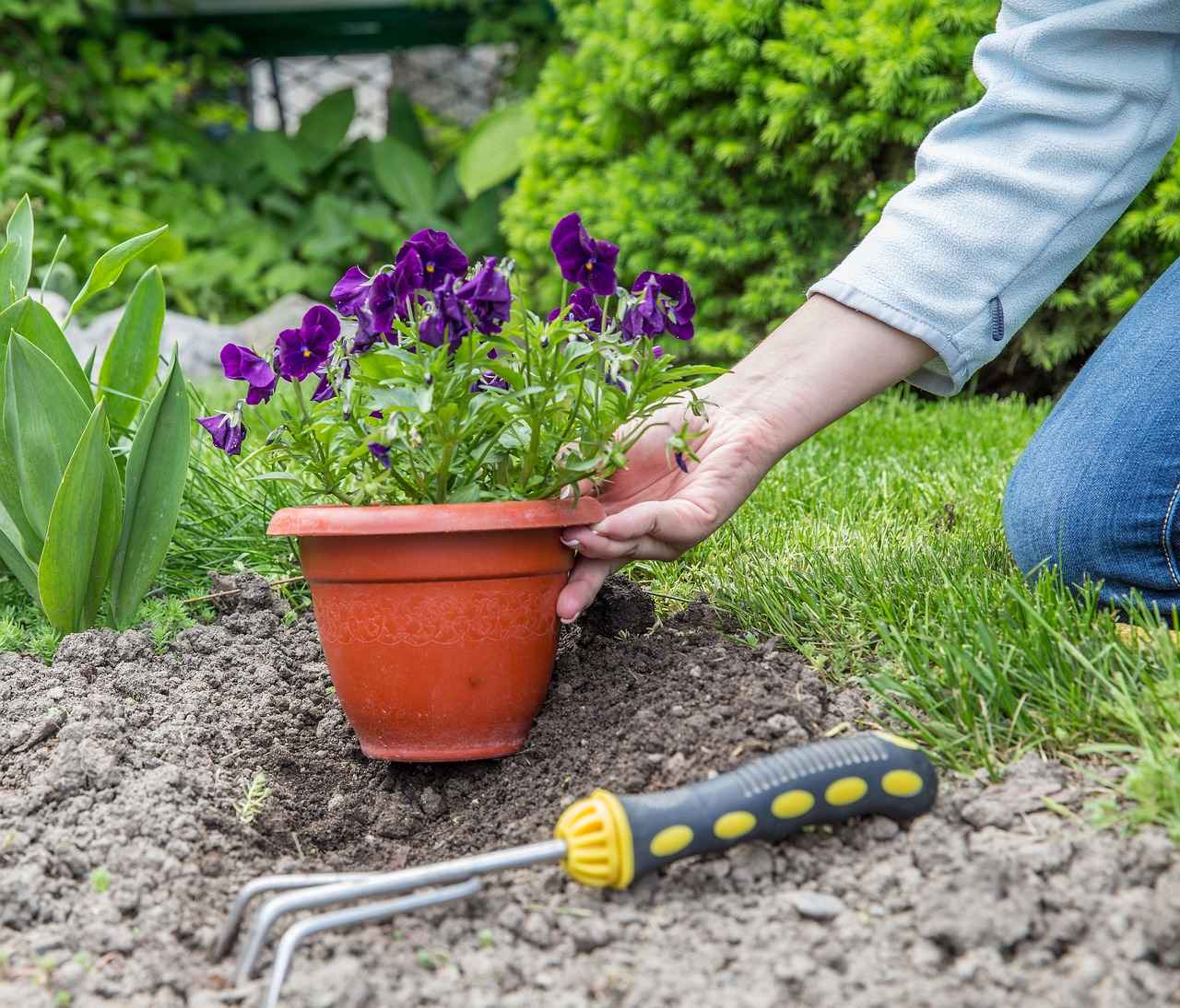 When Is the Best Time to Plant Cannabis Outdoors?