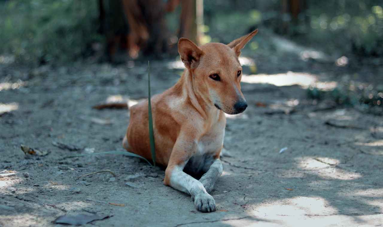 How to Have Sex with a Virgin: Tips for Respectful and Healthy Relationships 3 Preparing for the First Time: Emotional Readiness