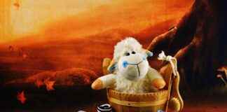 How to Increase Alkalinity in Hot Tub: Step-by-Step Instructions How to Increase Alkalinity in Hot Tub: Step-by-Step Instructions