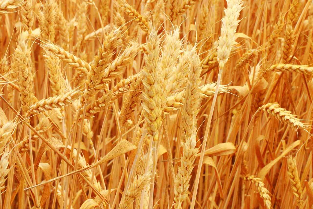 Understanding the Legal Process