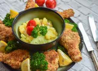 How to Keep Chickens Cool: Effective Summer Care Tips How to Keep Chickens Cool: Effective Summer Care Tips