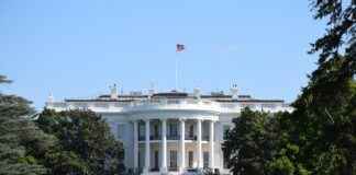 How to Know if a DC-DC Converter is Bad in a 2006 Civic How to Know if a DC-DC Converter is Bad in a 2006 Civic