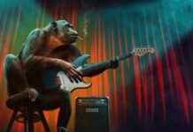 How to Light a Blunt: Tips for Beginners How to Light a Blunt: Tips for Beginners