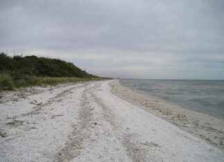 How to Look Thinner in Photos: Posing and Editing Tips How to Look Thinner in Photos: Posing and Editing Tips