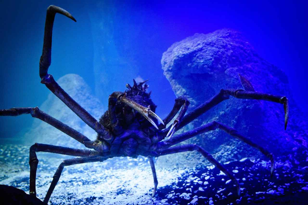 What Are the Risks of Lowering GH Too Quickly?