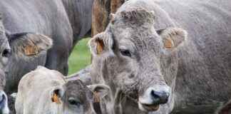 How to Make Breast Milk Soap: Step-by-Step Guide for Beginners How to Make Breast Milk Soap: Step-by-Step Guide for Beginners