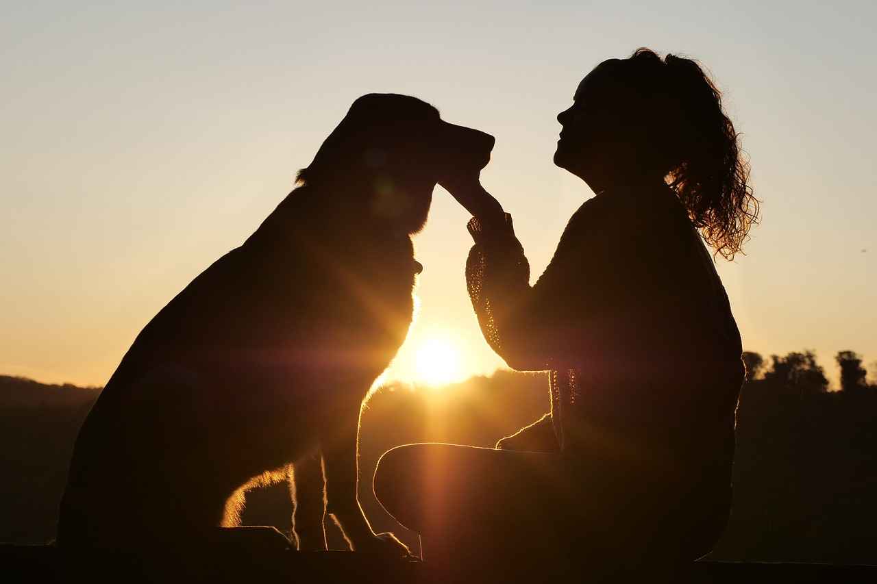 Understanding Tyranny in Relationships
