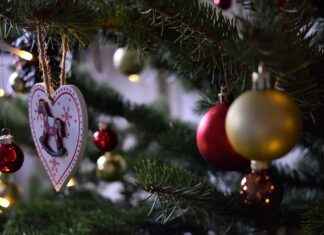 How to Make Pine Wood Flooring: A DIY Project How to Make Pine Wood Flooring: A DIY Project