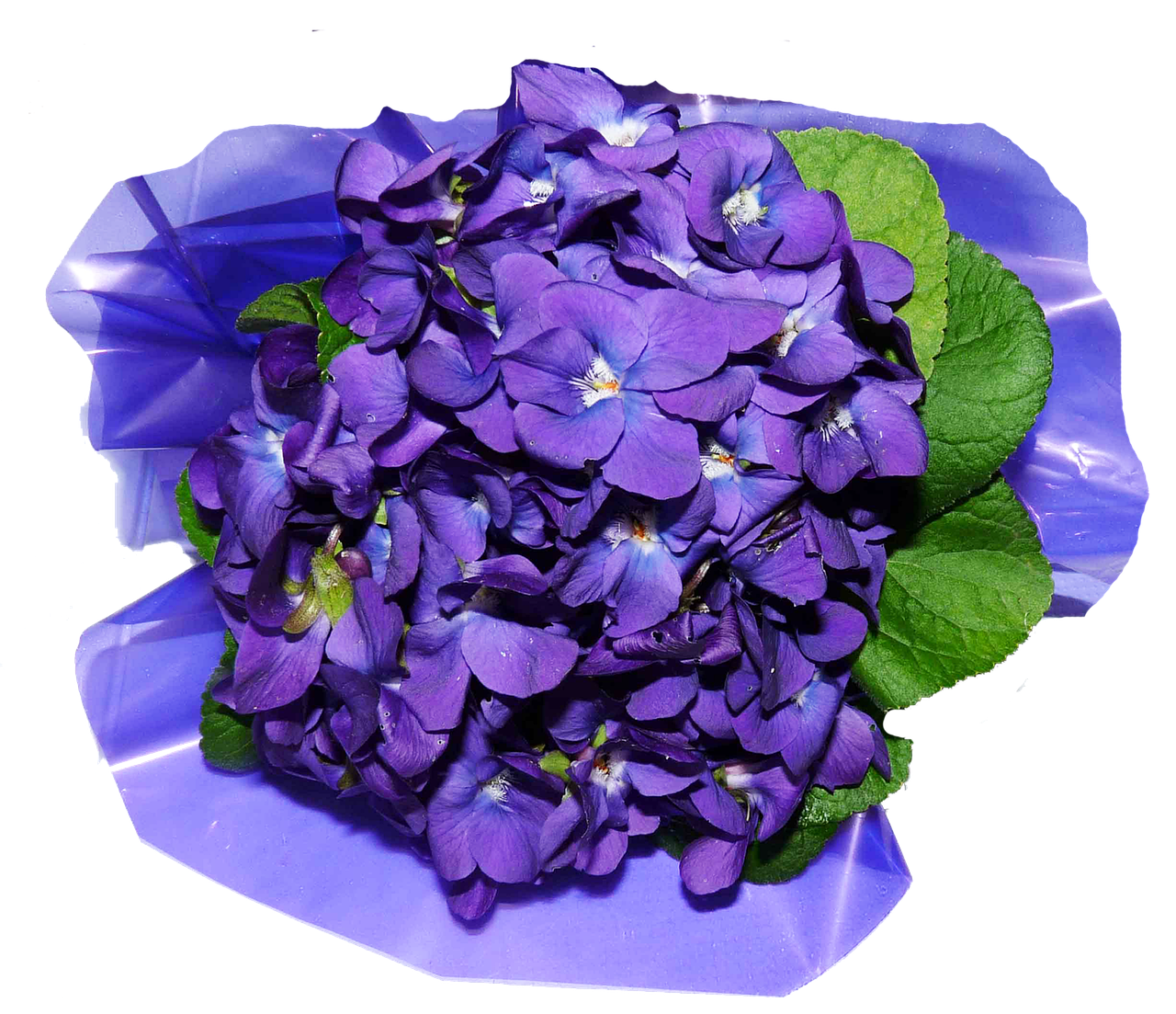 How to Open a Perfume Bottle: Quick and Easy Methods 5 Tips for Avoiding Damage When Opening Perfume Bottles