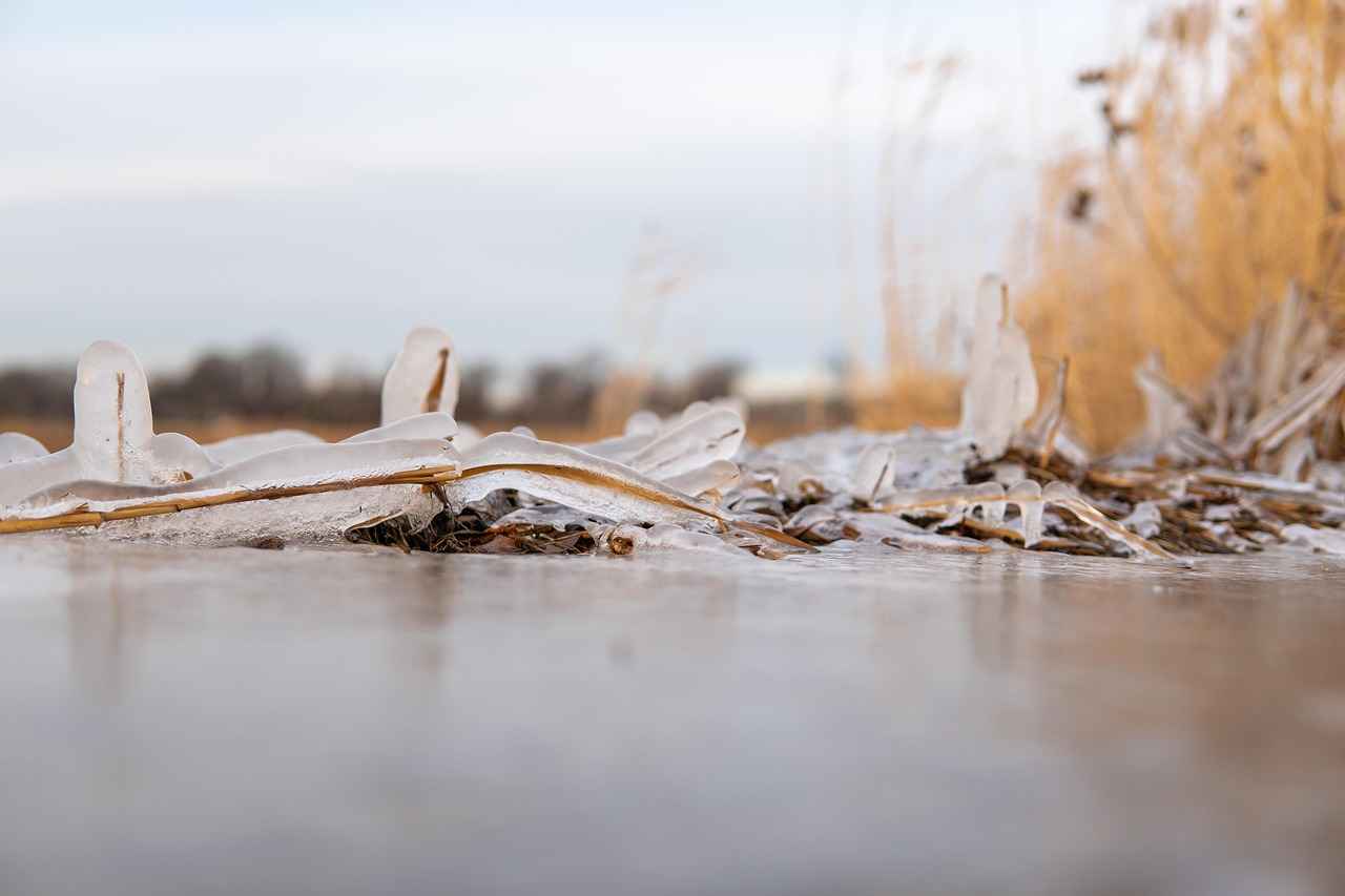 Refilling with New Coolant