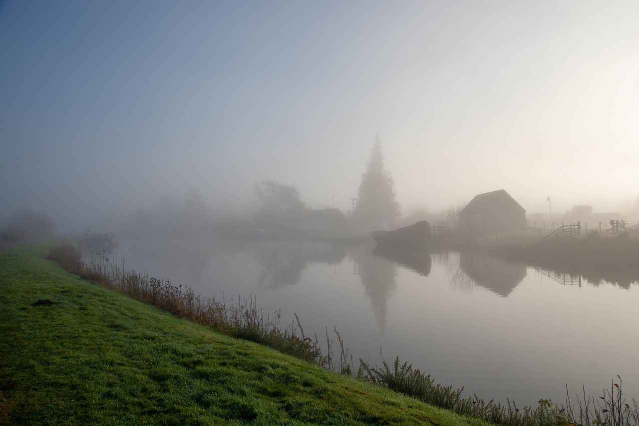 How to Prepare for a Root Canal: What You Need to Know 7 Common Myths About Root Canals