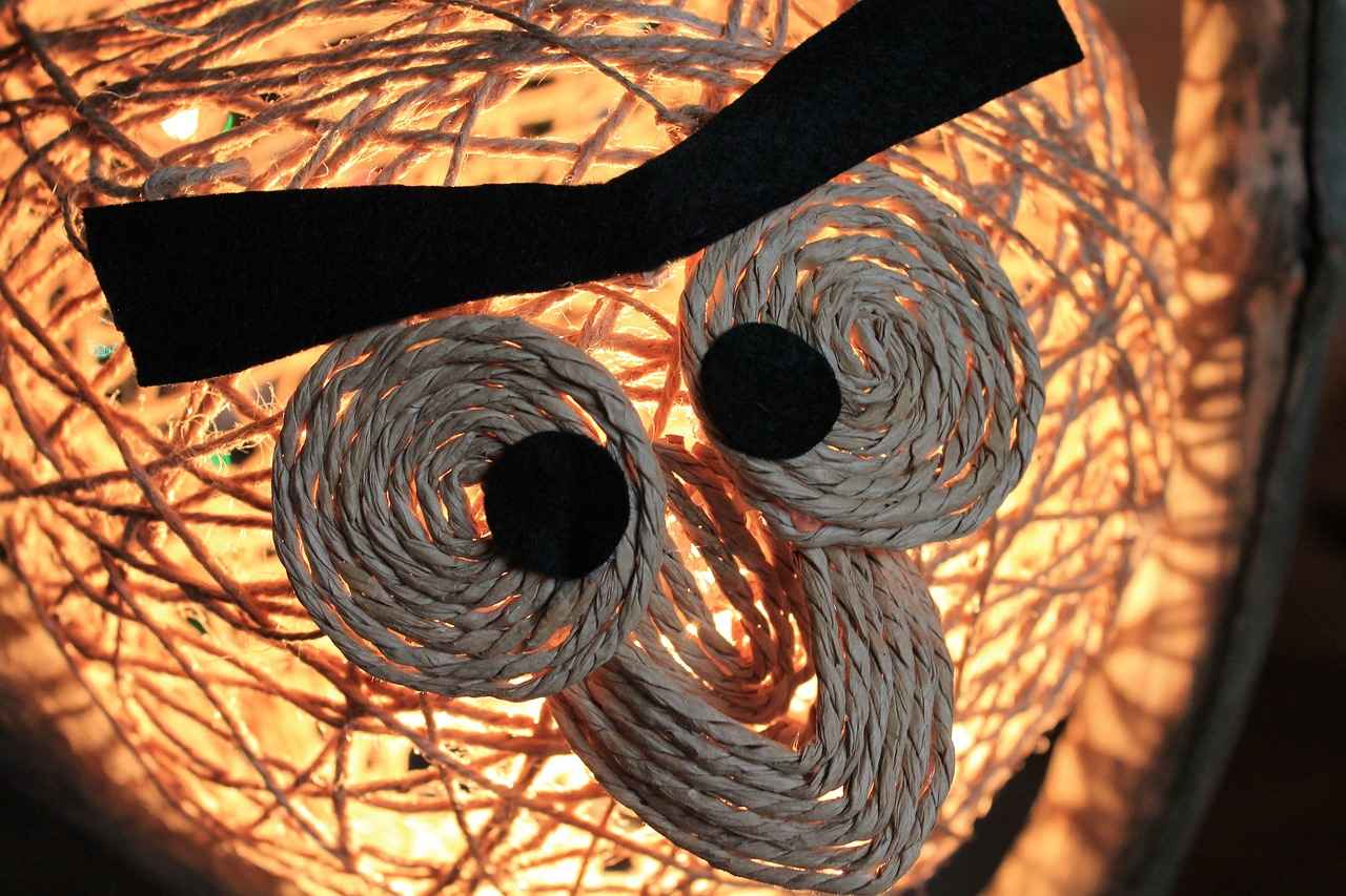 Step-by-Step Assembly Instructions