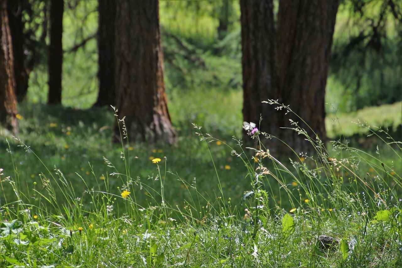 What Are the Treatment Options for Hearing Loss After an Ear Infection?